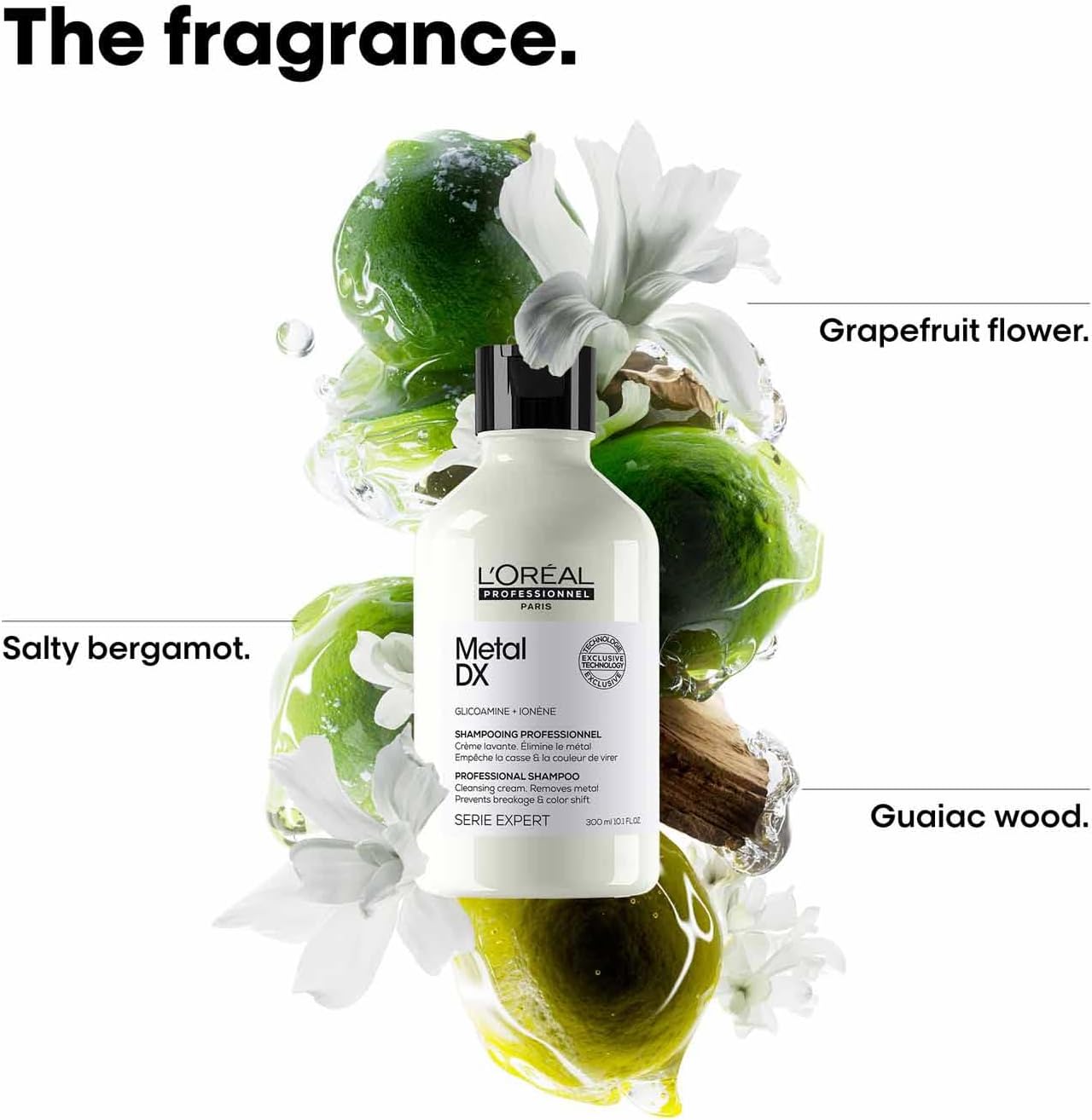 L'Oréal Professionnel Series Expert Metal DX Shampoo 300ml - Jusskincare