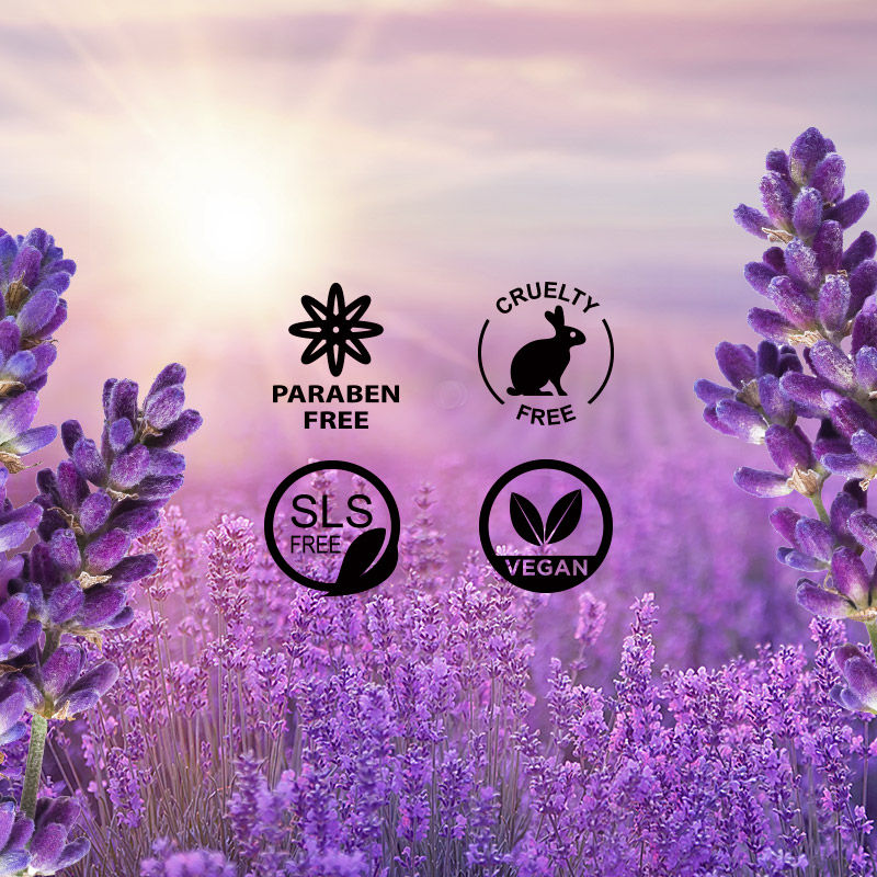 Wanderlust French Lavender Body Butter