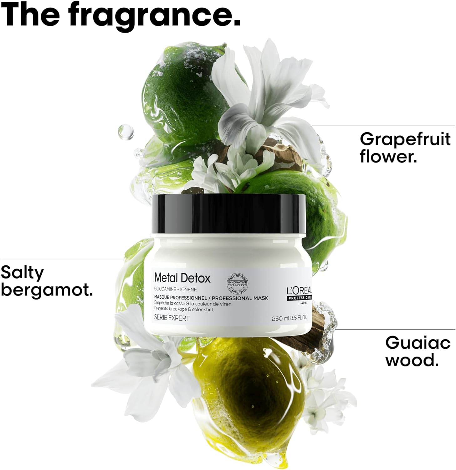 L'Oreal Professionnel Metal Detox Mask (250ml) - Jusskincare