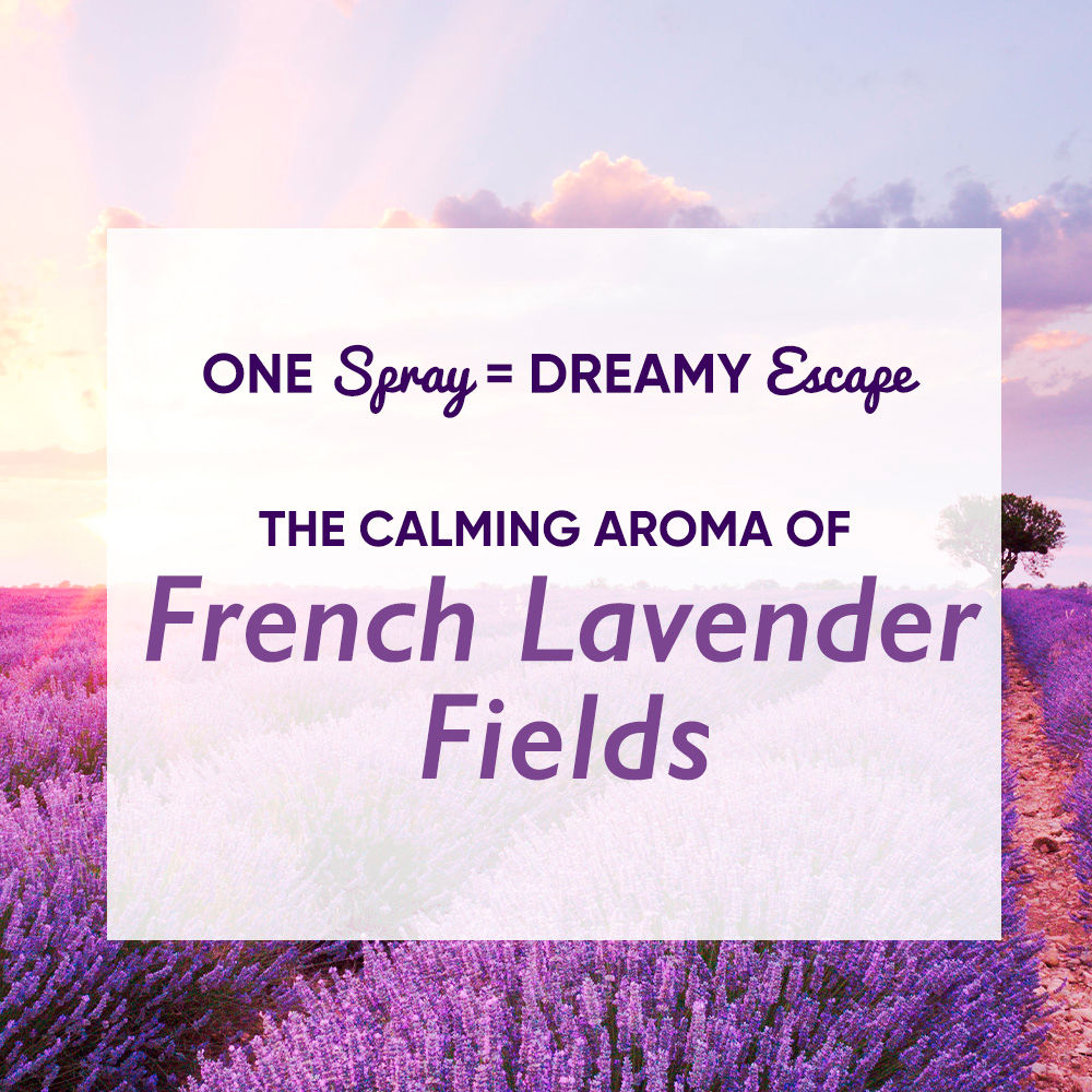 Wanderlust French Lavender Fragrance Mist